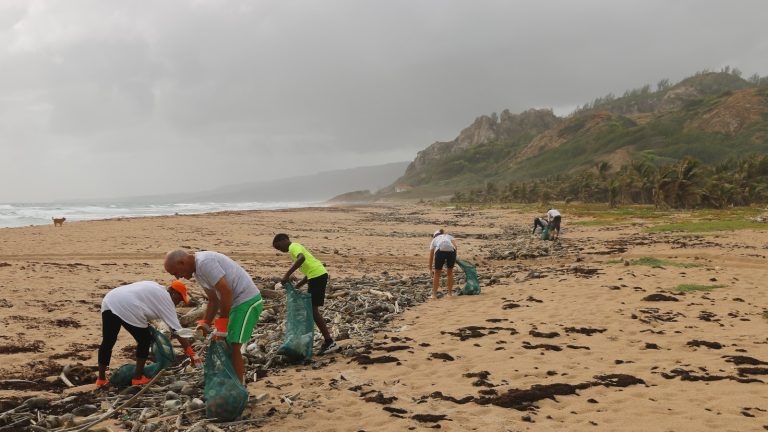 people picking up litter on a beach