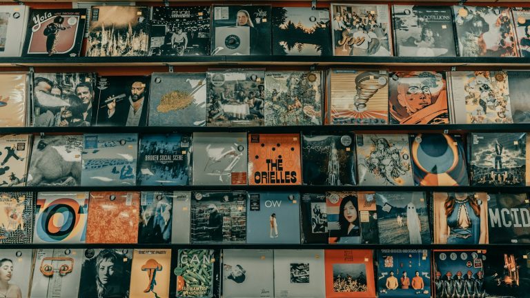 rows of vinyl records displayed on wooden shelves